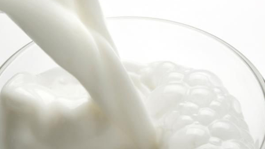 Ayesh Shir Shomal / belitsa / stabilizer and emulsifier production and supply of dairy industry